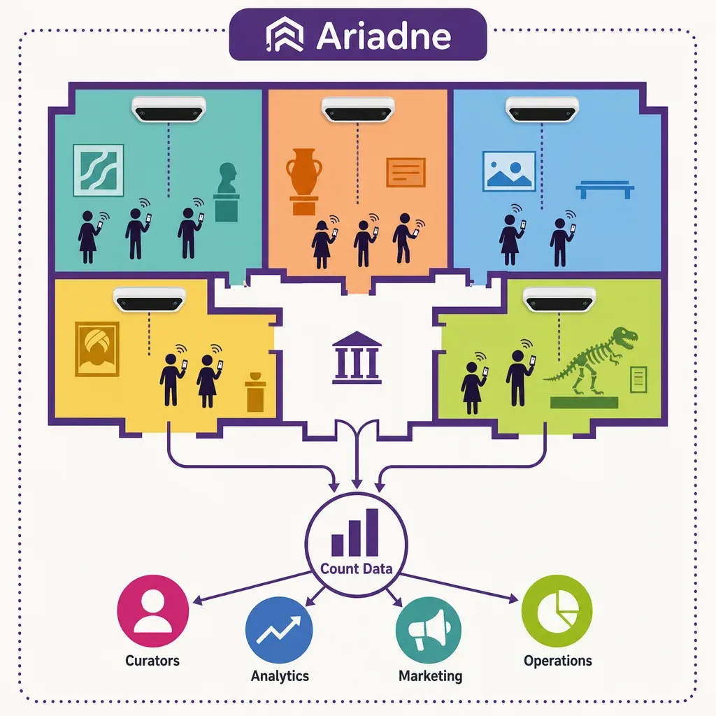 Infographic showing GDPR-safe people counting in a museum with sensors sending data to a hub, feeding curators, operations, f